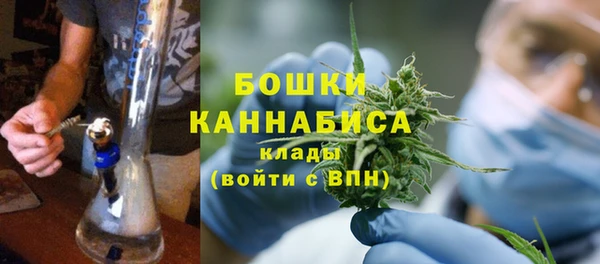 ГАЛЛЮЦИНОГЕННЫЕ ГРИБЫ Горнозаводск