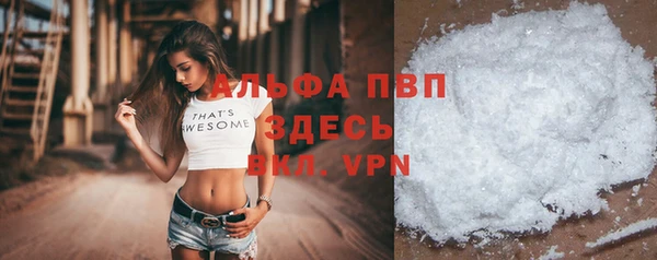 амф Горняк