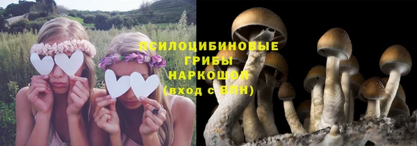 гидра Горно-Алтайск