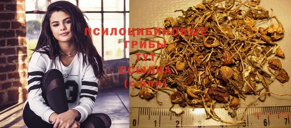 spice Вяземский