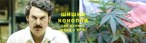 СК Вязьма