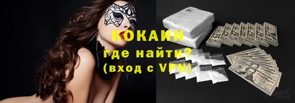амф Горняк
