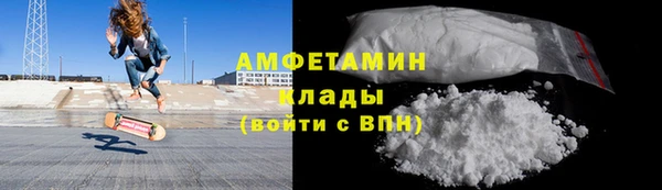 амф Горняк