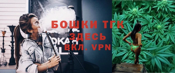 СК Вязьма