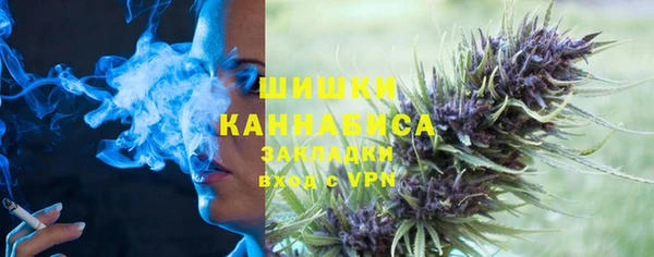 СК Вязьма