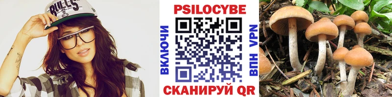 Купить  Шали  Псилоцибиновые грибы Psilocybine cubensis 